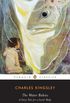 The Water-Babies: A Fairy Tale for a Land-Baby (Penguin Classics) (English Edition)