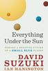 Everything Under the Sun: Toward a Brighter Future on a Small Blue Planet (English Edition)
