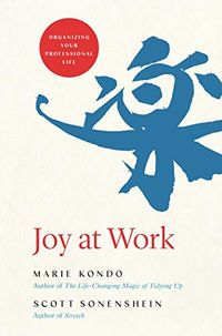 Joy at Work: Organizing Your Professional Life (English Edition)