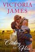 Cowboy for Hire (Wishing River Book 2) (English Edition)