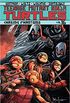 Teenage Mutant Ninja Turtles Volume 16: Chasing Phantoms
