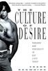 The Culture of Desire: Paradox and Perversity in Gay Lives Today (English Edition)