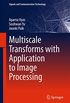 Multiscale Transforms with Application to Image Processing (Signals and Communication Technology) (English Edition)