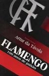 Flamengo 100 anos de Paixão