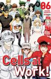 Cells At Work! #06