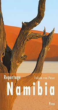 Reportage Namibia: Durch die Augen des Geparden (Picus Reportagen) (German Edition)