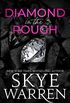 Diamond in the Rough (English Edition)