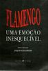 Flamengo, uma emoo inesquecvel