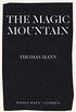 The Magic Mountain (English Edition)
