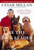 Be the Pack Leader: Use Cesar