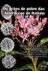 Os gros de plen das Asteraceae de Itatiaia