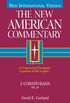 2 Corinthians: An Exegetical and Theological Exposition of Holy Scripture (The New American Commentary Book 29) (English Edition)