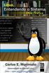 Linux, Entendendo o Sistema
