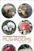 Pocket Guide to Mushrooms (Pocket Guides) (English Edition)