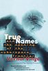 True Names and the Opening of the Cyberspace Frontier (English Edition)