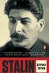 Stalin: Paradoxes of Power, 1878-1928 (English Edition)