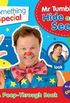 Something Special Mr Tumble