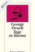 Tage in Burma (detebe) (German Edition)