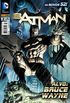 Batman #2 (Os Novos 52)