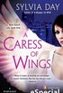 Uma carícia de asas - A caress of wings