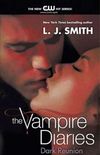 The Vampire Diaries: Dark Reunion (English Edition)