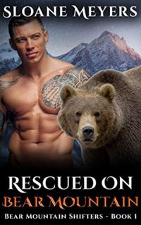 Rescued on Bear Mountain
