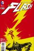 The Flash #22