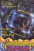 Goosebumps 2000 18 Horror of Black Ring