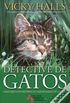 Detetive de Gatos