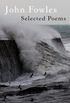 Selected Poems (English Edition)