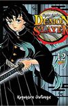 Demon Slayer: Kimetsu No Yaiba #12