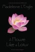A House Like a Lotus (O