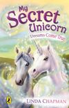 My Secret Unicorn: Dreams Come True (English Edition)