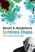 Schnes Chaos: Mein wundersames Leben (German Edition)