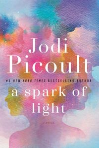 A Spark of Light: A Novel (English Edition)