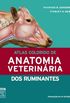 Atlas Colorido de Anatomia Veterinria dos Ruminantes