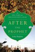 After the Prophet: The Epic Story of the Shia-Sunni Split in Islam (English Edition)