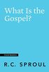 What Is the Gospel? (Crucial Questions) (English Edition)