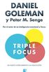 Triple Focus. Un nuevo acercamiento a la educacin (Spanish Edition)
