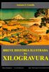 Breve Histria Ilustrada da Xilogravura