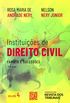 Instituies De Direito Civil Volume 4 - Famlia E Sucesses