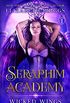 Seraphim Academy 1: Wicked Wings