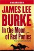 In the Moon of Red Ponies: A Novel