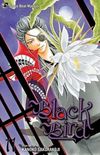 Black Bird #11