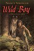 Wild Boy: A Tale of Rowan Hood (Rowan Hood (Paperback)) (English Edition)