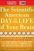 The Scientific American Day in the Life of Your Brain: A 24 hour Journal of What