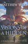 Visions of a Hidden