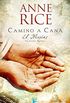 Camino a Can (El Mesas 2): Continuacin de El Mesas, El nio judo (Spanish Edition)