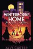Winterborne Home for Mayhem and Mystery (Winterborne Home for Vengeance and Valour Book 2) (English Edition)