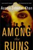 Among the Ruins: A Mystery (Rachel Getty and Esa Khattak Novels Book 3) (English Edition)